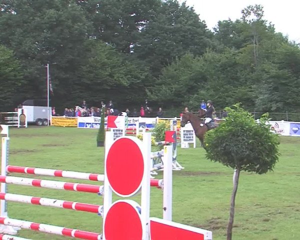 Reitturnier Felmerholz 2016