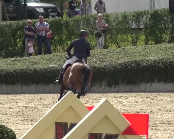 Reitturnier Lohmar-Halberg 2016