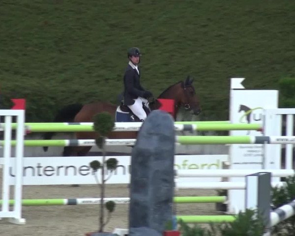 Reitturnier Lohmar-Halberg 2016