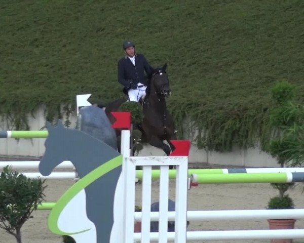 Reitturnier Lohmar-Halberg 2016