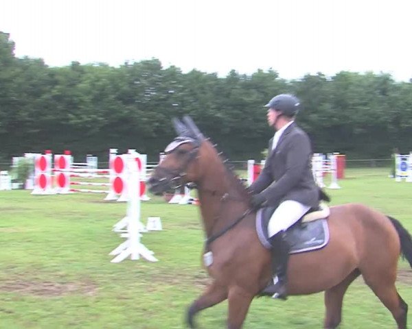 Reitturnier Felmerholz 2016