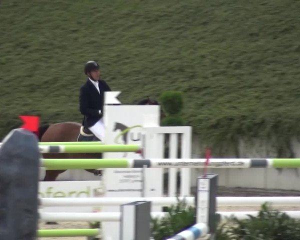 Reitturnier Lohmar-Halberg 2016