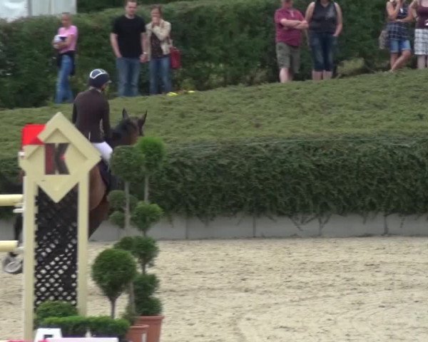 Reitturnier Lohmar-Halberg 2016