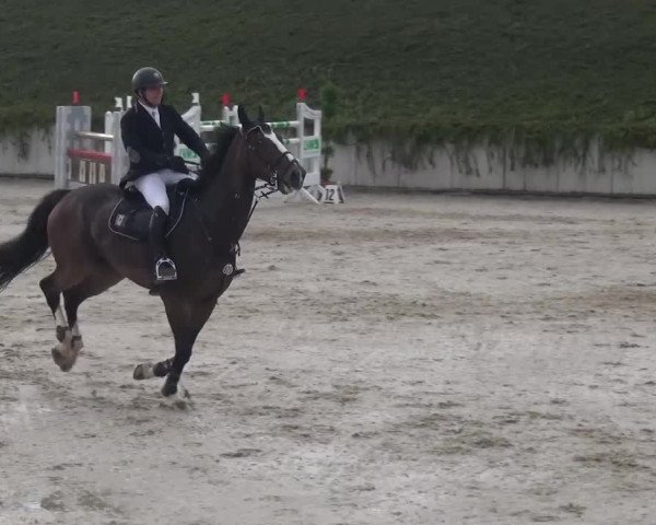 Reitturnier Lohmar-Halberg 2016