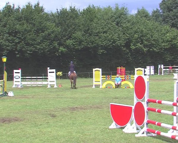 Reitturnier Felmerholz 2016