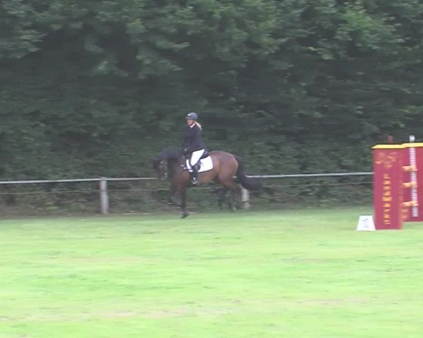 Reitturnier Felmerholz 2016