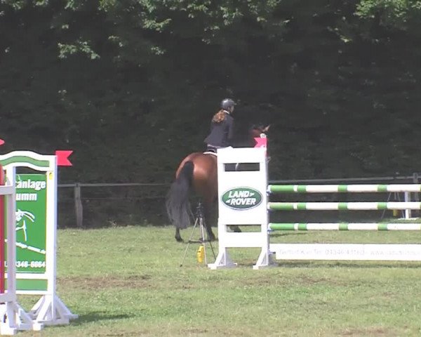 Reitturnier Felmerholz 2016