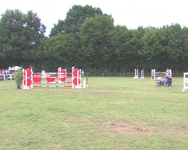 Reitturnier Felmerholz 2016