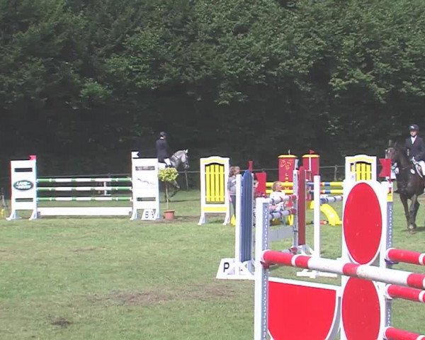 Reitturnier Felmerholz 2016