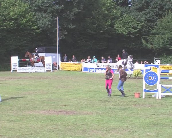 Reitturnier Felmerholz 2016