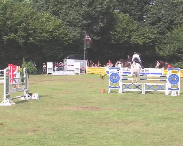 Reitturnier Felmerholz 2016