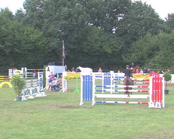 Reitturnier Felmerholz 2016