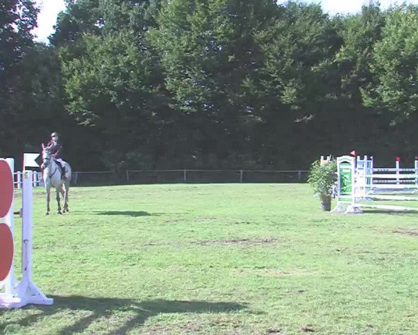 Reitturnier Felmerholz 2016