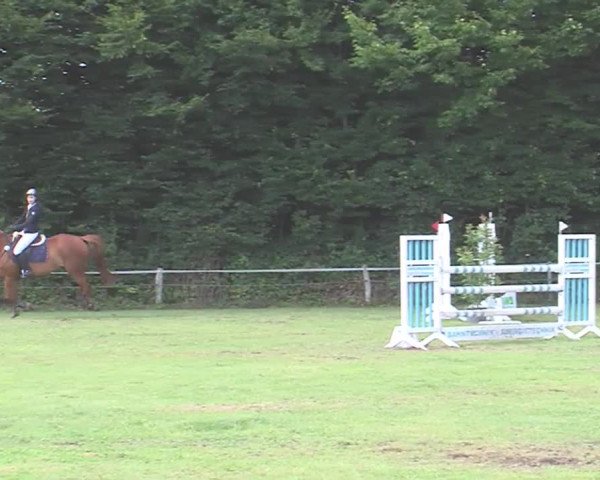Reitturnier Felmerholz 2016