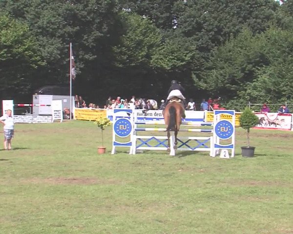 Reitturnier Felmerholz 2016