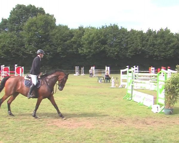 Reitturnier Felmerholz 2016