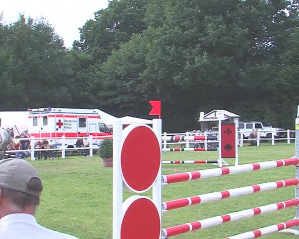 Reitturnier Felmerholz 2016