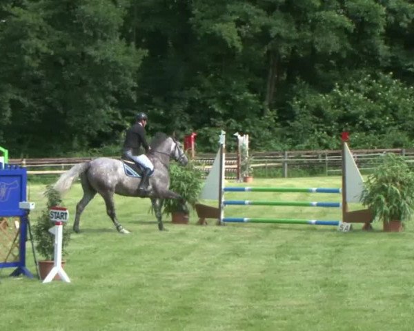 Reitturnier Hamburg-Friedrichshulde 2016
