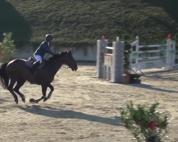 Reitturnier Lohmar-Halberg 2016