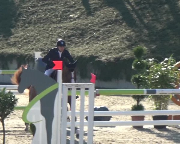 Reitturnier Lohmar-Halberg 2016