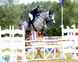 jumper Hianora (KWPN (Royal Dutch Sporthorse), 2012, from Advance)