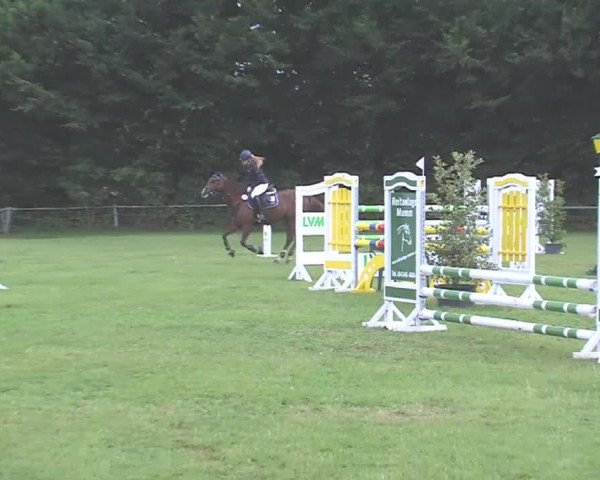 Reitturnier Felmerholz 2016