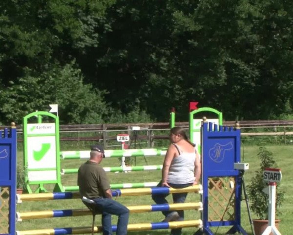 Reitturnier Hamburg-Friedrichshulde 2016