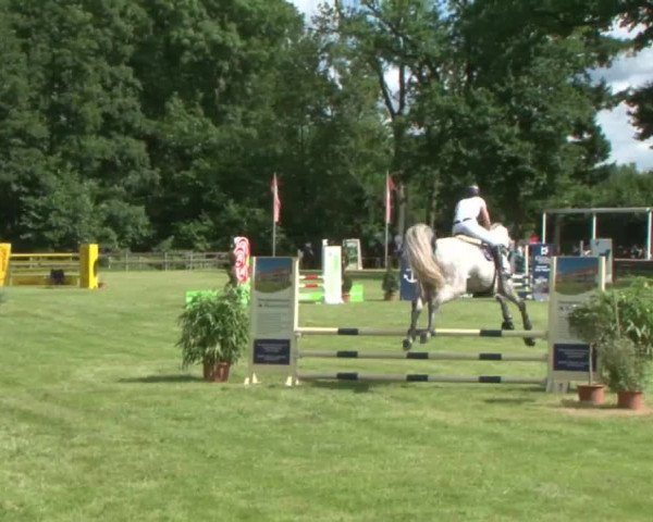 Reitturnier Hamburg-Friedrichshulde 2016