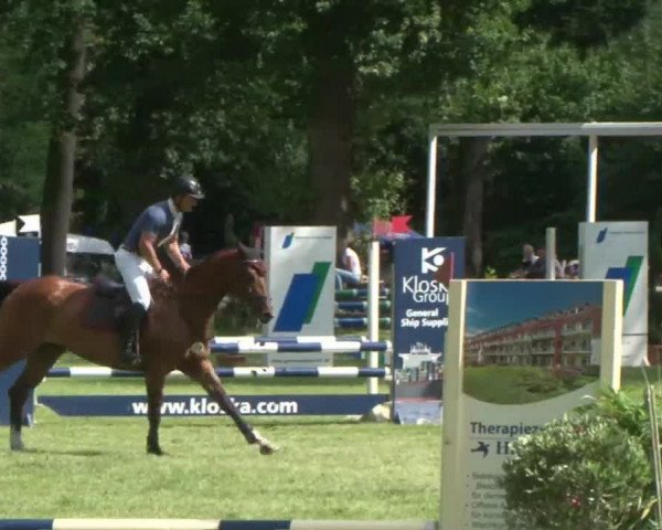 Reitturnier Hamburg-Friedrichshulde 2016