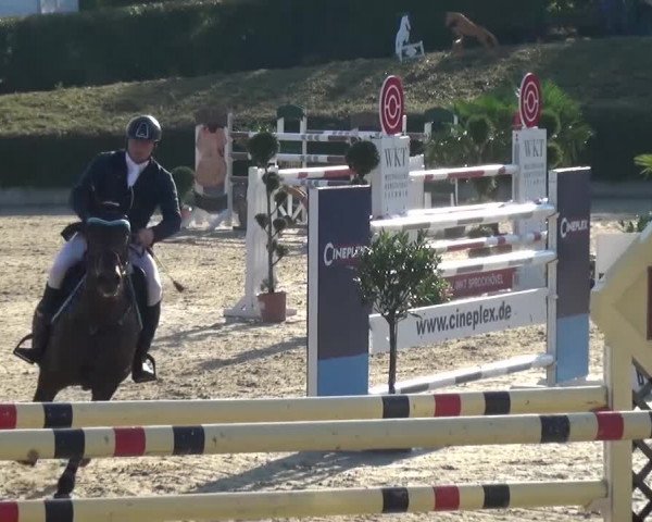 Reitturnier Lohmar-Halberg 2016