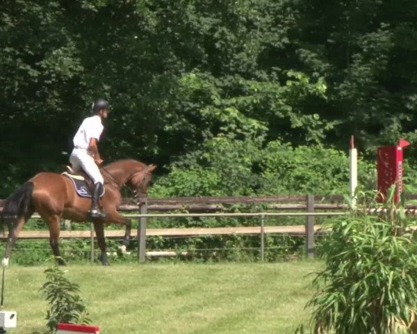 Reitturnier Hamburg-Friedrichshulde 2016
