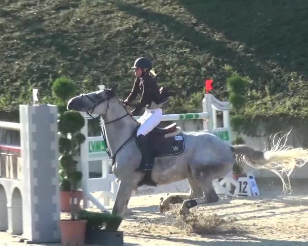 Reitturnier Lohmar-Halberg 2016
