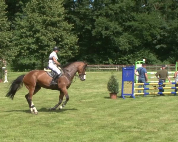 Reitturnier Hamburg-Friedrichshulde 2016