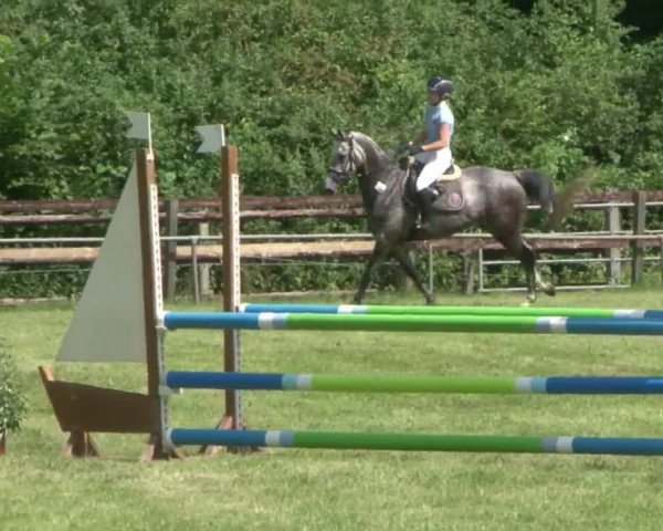 Reitturnier Hamburg-Friedrichshulde 2016