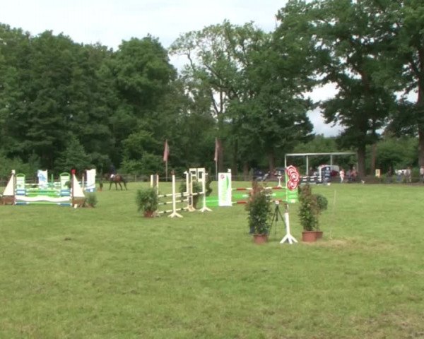 Reitturnier Hamburg-Friedrichshulde 2016