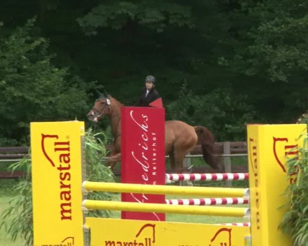 Reitturnier Hamburg-Friedrichshulde 2016