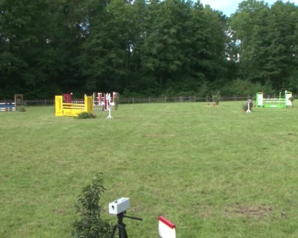 Reitturnier Hamburg-Friedrichshulde 2016