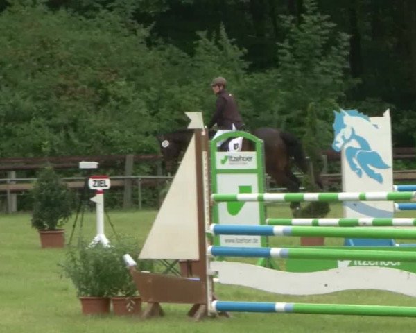 Reitturnier Hamburg-Friedrichshulde 2016