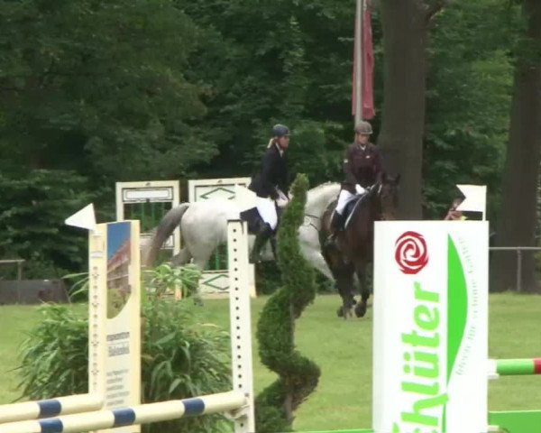 Reitturnier Hamburg-Friedrichshulde 2016