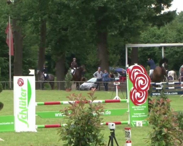 Reitturnier Hamburg-Friedrichshulde 2016