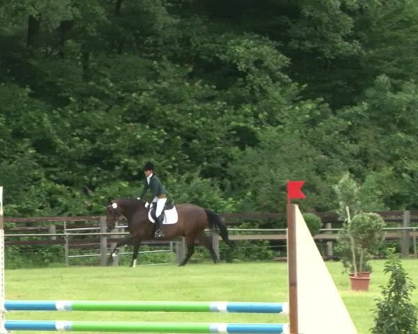 Reitturnier Hamburg-Friedrichshulde 2016