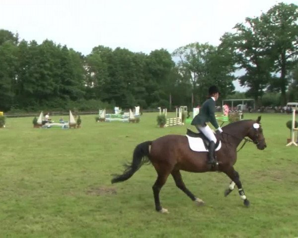 Reitturnier Hamburg-Friedrichshulde 2016