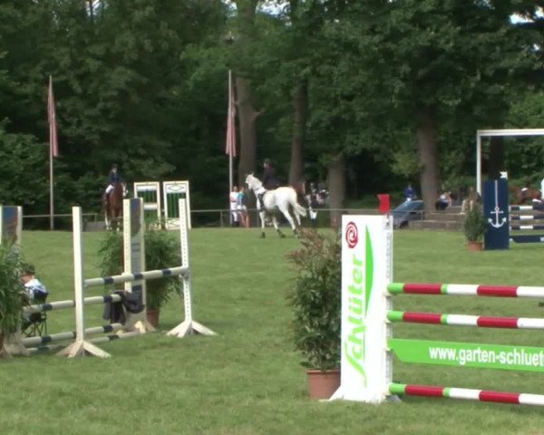 Reitturnier Hamburg-Friedrichshulde 2016