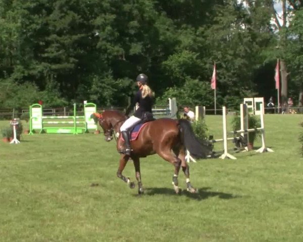 Reitturnier Hamburg-Friedrichshulde 2016