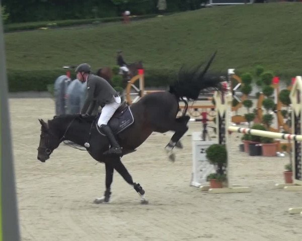 Reitturnier Lohmar-Halberg 2016