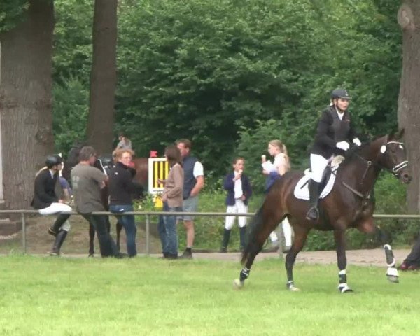 Reitturnier Hamburg-Friedrichshulde 2016