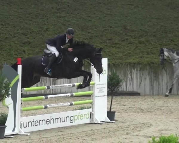 Reitturnier Lohmar-Halberg 2016