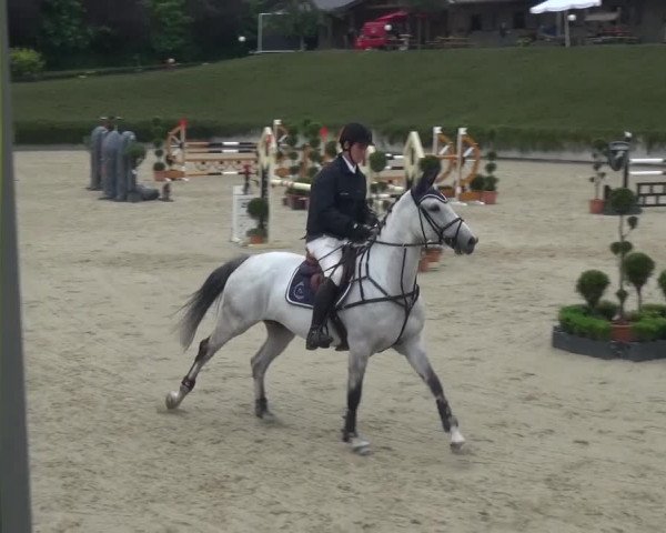 Reitturnier Lohmar-Halberg 2016