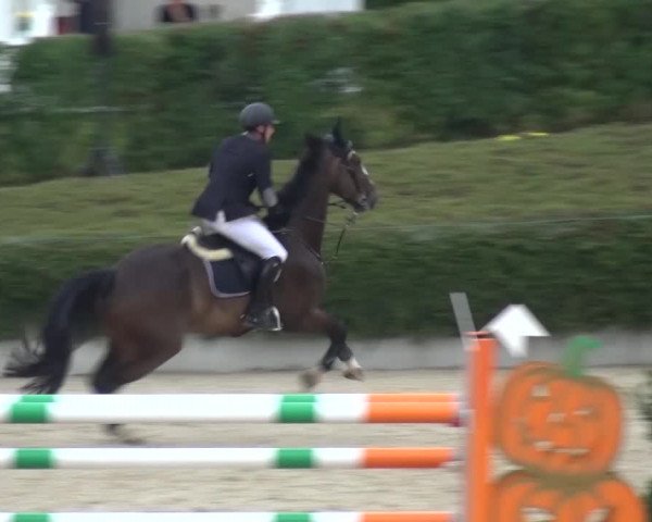 Reitturnier Lohmar-Halberg 2016