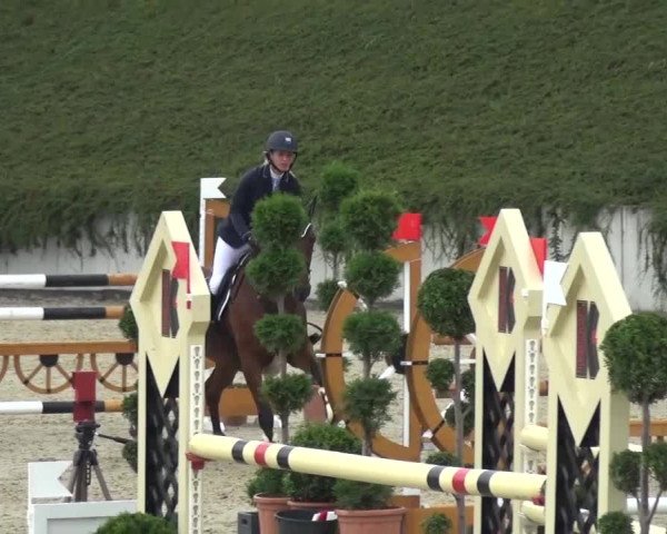 Reitturnier Lohmar-Halberg 2016